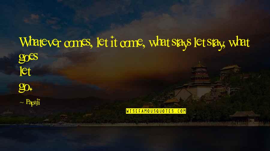 Fowlie Primary Quotes By Papaji: Whatever comes, let it come, what stays let