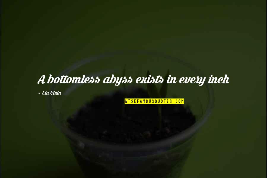 Fowwow Quotes By Liu Cixin: A bottomless abyss exists in every inch