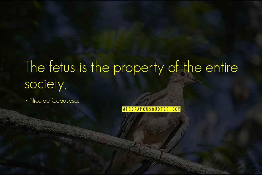 Fox The Hound Quotes By Nicolae Ceausescu: The fetus is the property of the entire Fox The Hound Quotes By Nicolae Ceausescu: The fetus is the property of the entire