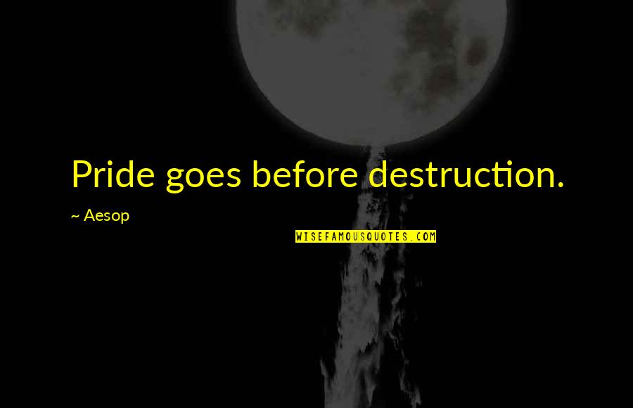 Fox0r Quotes By Aesop: Pride goes before destruction.