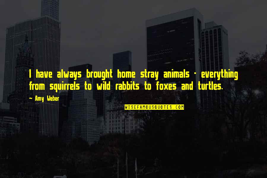 Foxes Quotes By Amy Weber: I have always brought home stray animals -
