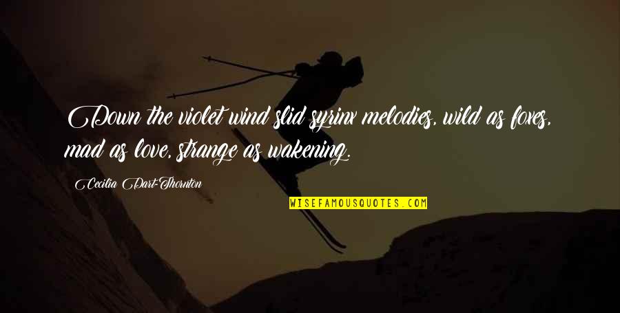 Foxes Quotes By Cecilia Dart-Thornton: Down the violet wind slid syrinx melodies, wild