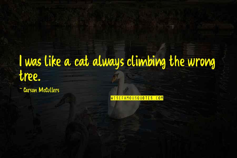 Foxleap Design Quotes By Carson McCullers: I was like a cat always climbing the