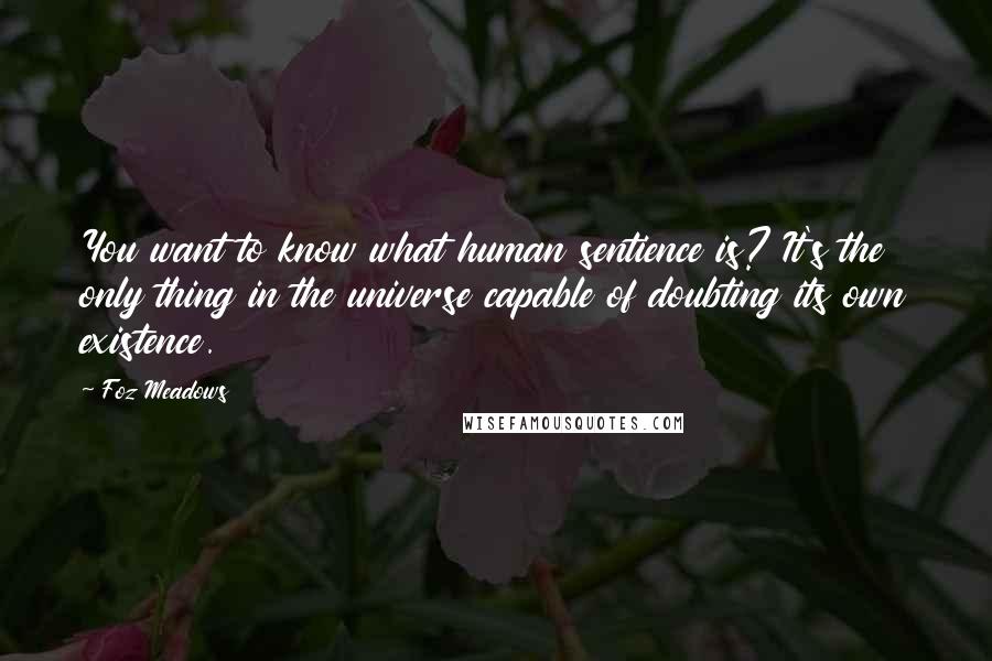 Foz Meadows quotes: You want to know what human sentience is? It's the only thing in the universe capable of doubting its own existence.