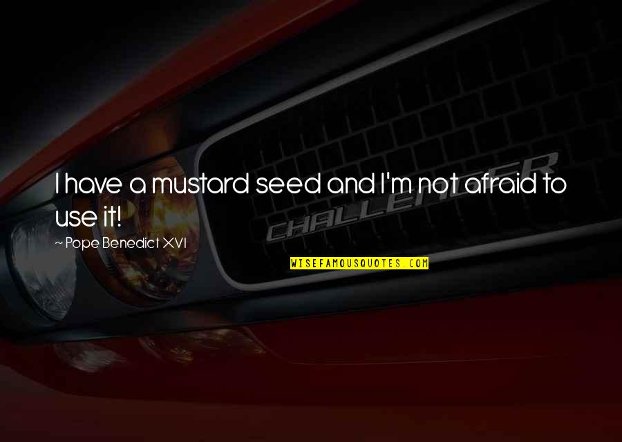Fraccionamiento In English Quotes By Pope Benedict XVI: I have a mustard seed and I'm not Fraccionamiento In English Quotes By Pope Benedict XVI: I have a mustard seed and I'm not
