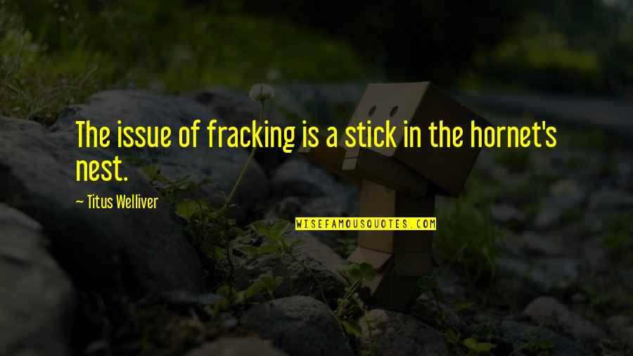 Fracking Quotes By Titus Welliver: The issue of fracking is a stick in
