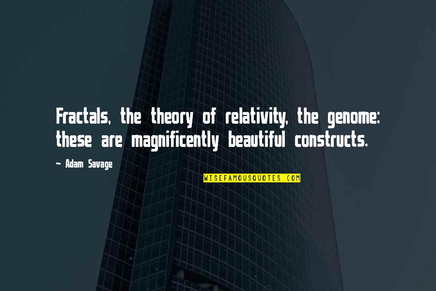 Fractals Quotes By Adam Savage: Fractals, the theory of relativity, the genome: these