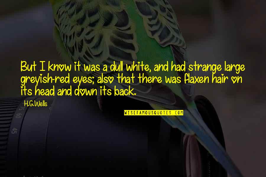 Fradon Quotes By H.G.Wells: But I know it was a dull white,