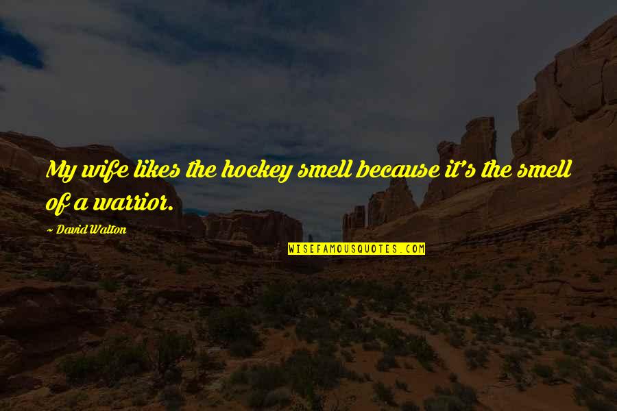 Fragging Quotes By David Walton: My wife likes the hockey smell because it's