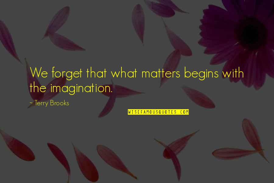 Fragile Dreams Seto Quotes By Terry Brooks: We forget that what matters begins with the