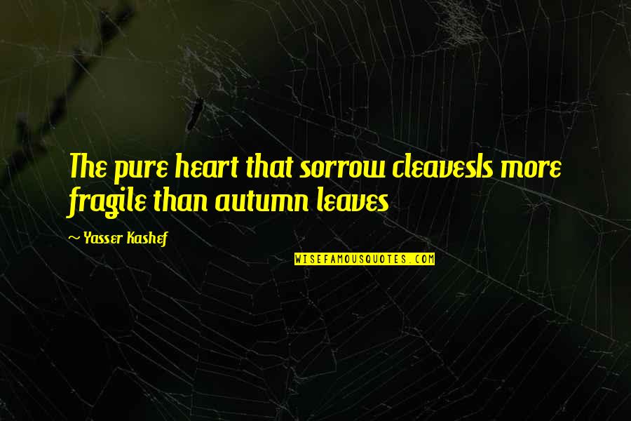 Fragile Heart Quotes By Yasser Kashef: The pure heart that sorrow cleavesIs more fragile
