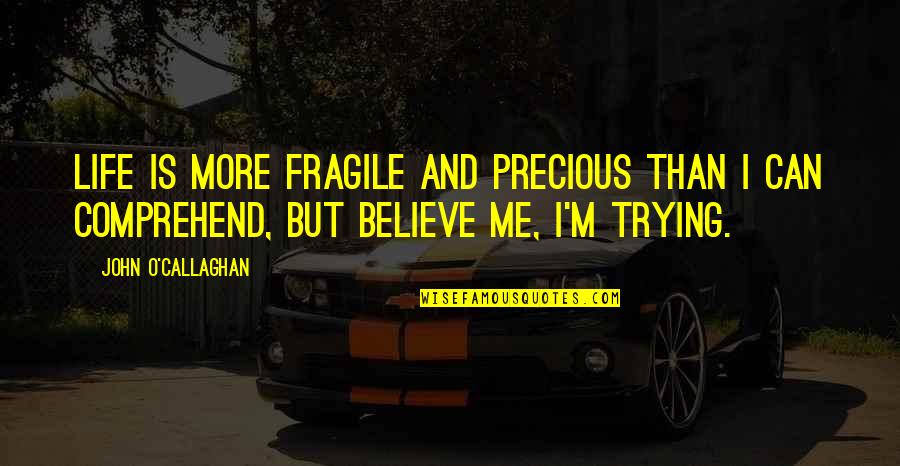 Fragile Life Quotes By John O'Callaghan: Life is more fragile and precious than I Fragile Life Quotes By John O'Callaghan: Life is more fragile and precious than I