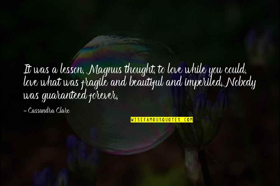 Fragile Love Quotes By Cassandra Clare: It was a lesson, Magnus thought, to love