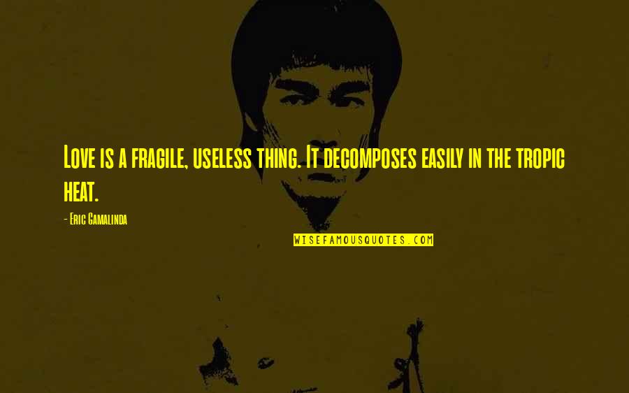 Fragile Love Quotes By Eric Gamalinda: Love is a fragile, useless thing. It decomposes