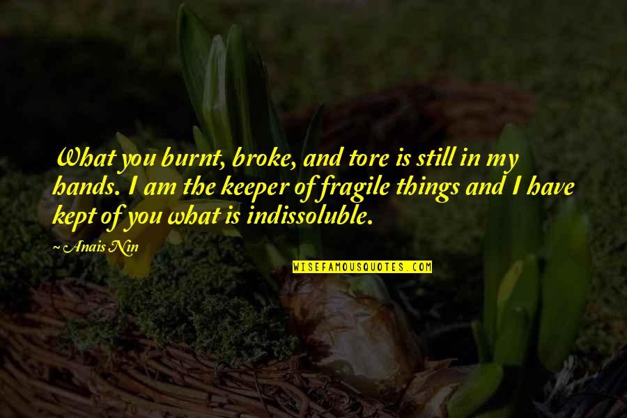 Fragile Things Quotes By Anais Nin: What you burnt, broke, and tore is still