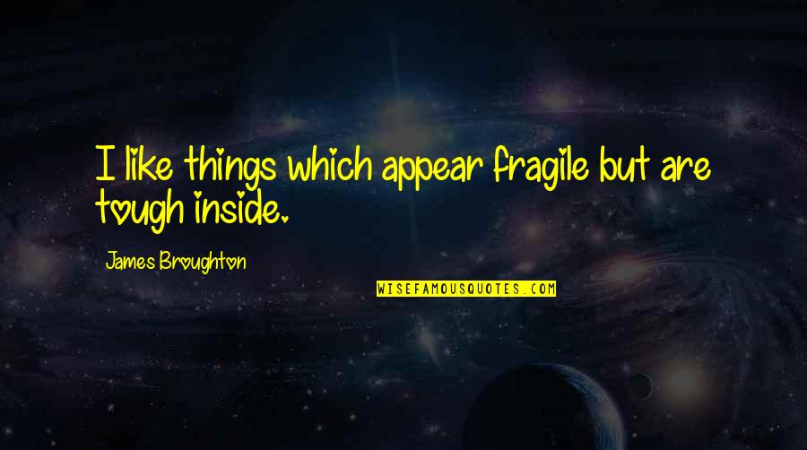 Fragile Things Quotes By James Broughton: I like things which appear fragile but are