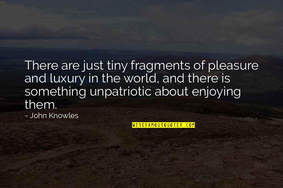 Fragments Quotes By John Knowles: There are just tiny fragments of pleasure and