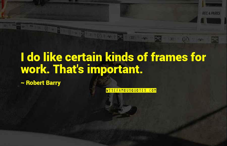 Frames Quotes By Robert Barry: I do like certain kinds of frames for
