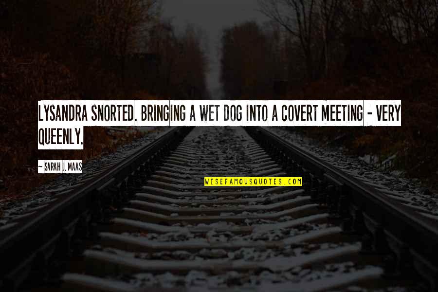 Fran Healy Quotes By Sarah J. Maas: Lysandra snorted. Bringing a wet dog into a