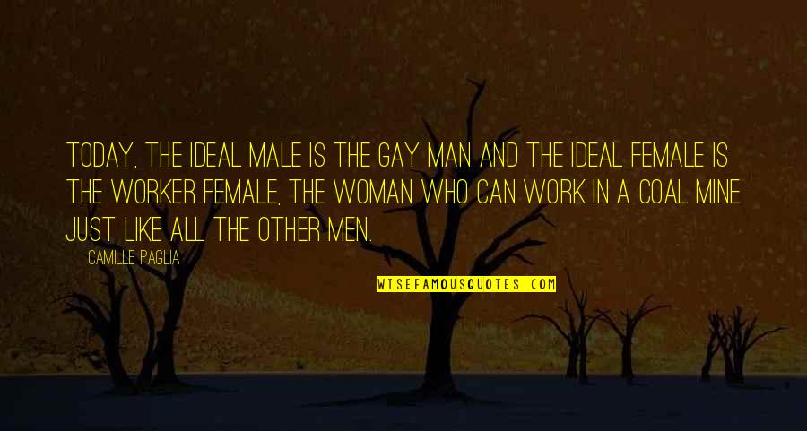 Francek Educational Quotes By Camille Paglia: Today, the ideal male is the gay man