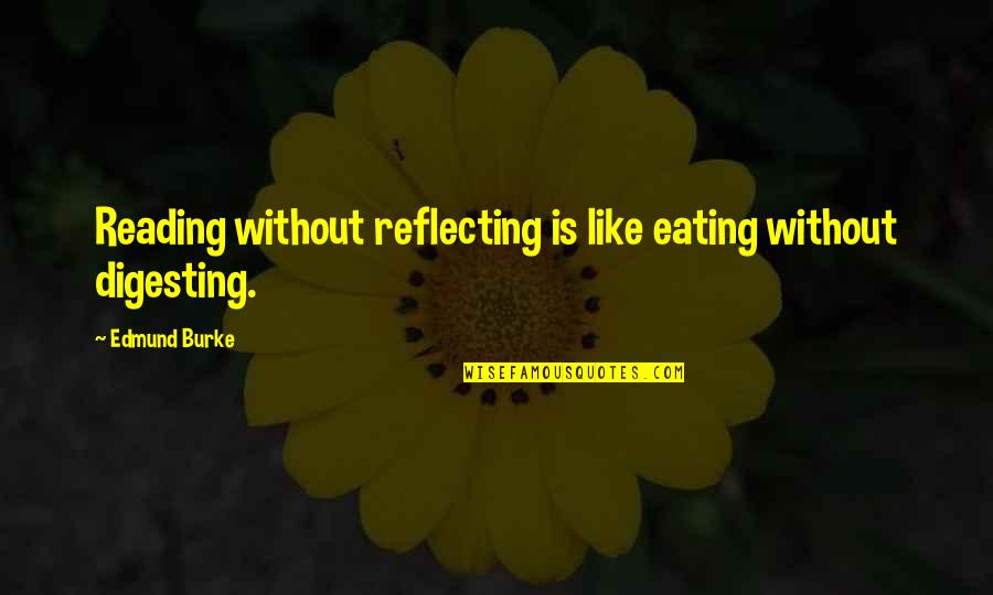 Francek Kinetico Quotes By Edmund Burke: Reading without reflecting is like eating without digesting.