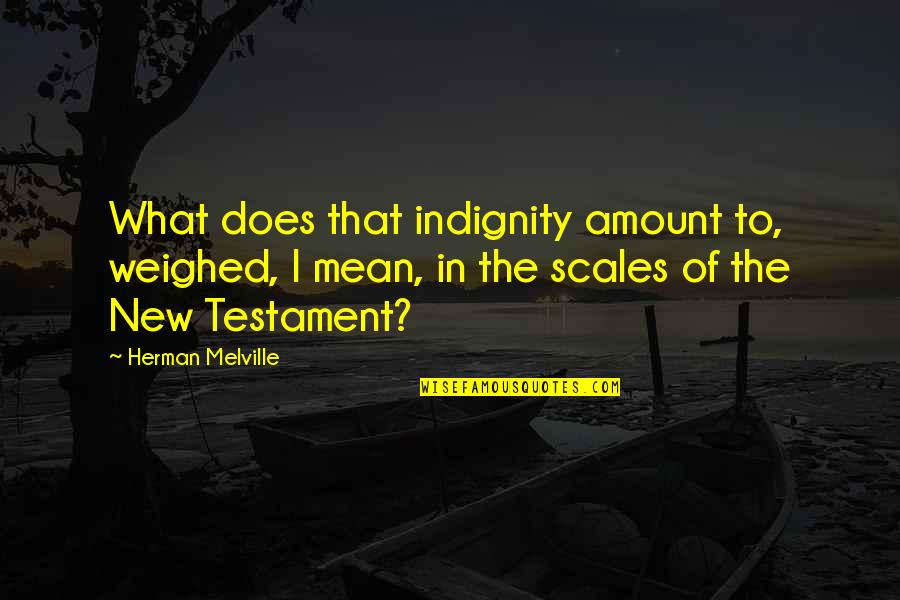 Francelina Neto Quotes By Herman Melville: What does that indignity amount to, weighed, I