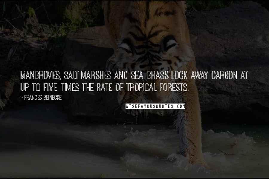 Frances Beinecke quotes: Mangroves, salt marshes and sea grass lock away carbon at up to five times the rate of tropical forests.