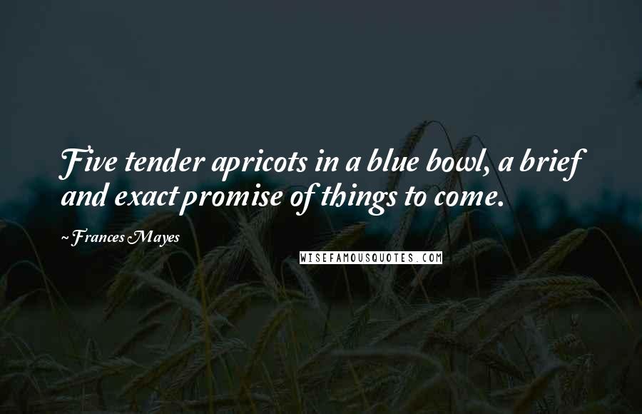 Frances Mayes quotes: Five tender apricots in a blue bowl, a brief and exact promise of things to come.