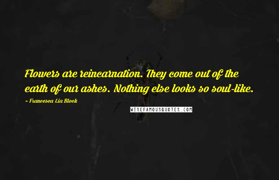Francesca Lia Block quotes: Flowers are reincarnation. They come out of the earth of our ashes. Nothing else looks so soul-like. Francesca Lia Block quotes: Flowers are reincarnation. They come out of the earth of our ashes. Nothing else looks so soul-like.