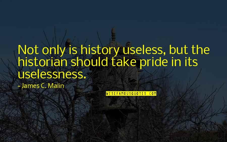 Francesca Marciano Quotes By James C. Malin: Not only is history useless, but the historian