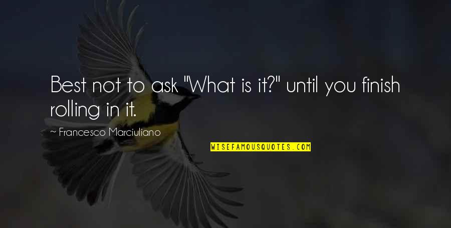 Francesco Quotes By Francesco Marciuliano: Best not to ask "What is it?" until