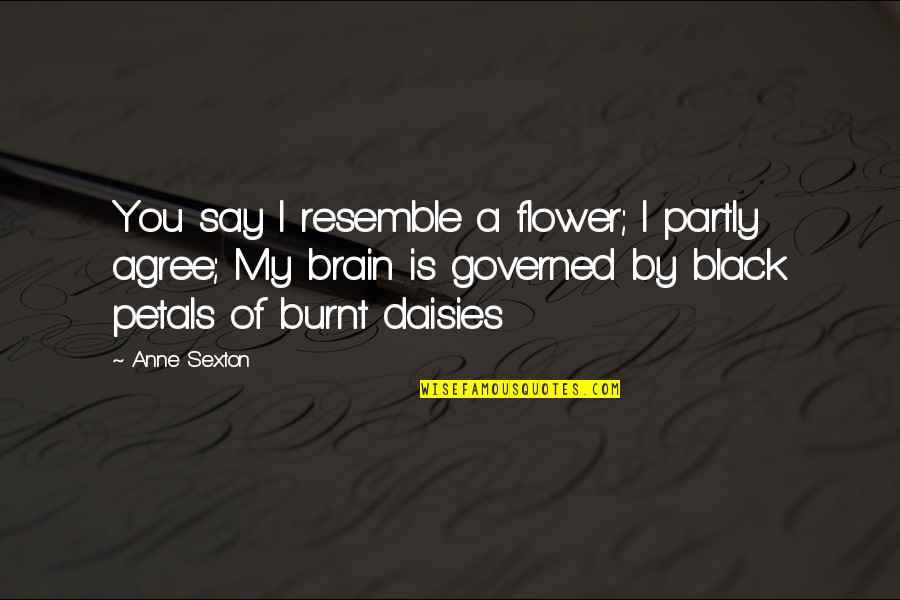 Franchini Nick Quotes By Anne Sexton: You say I resemble a flower; I partly