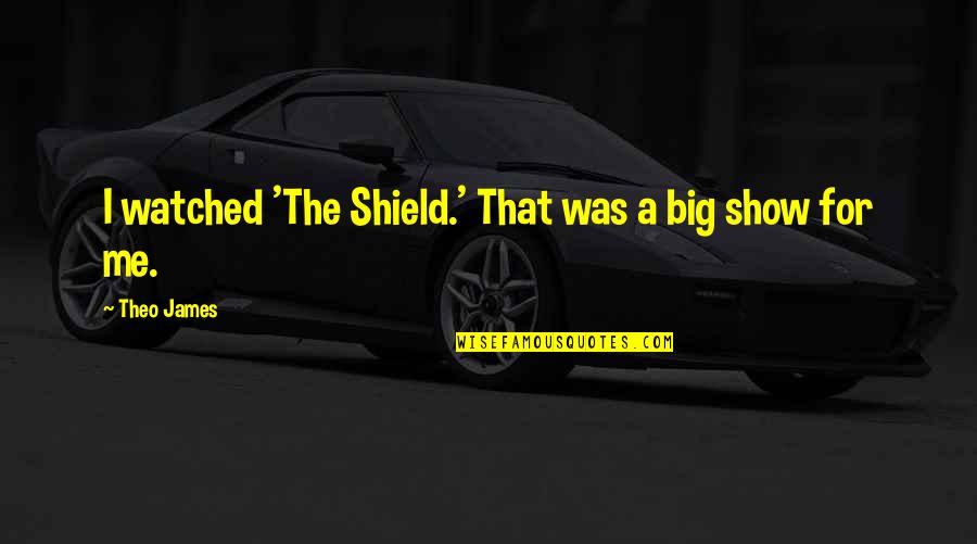 Francis Buxton Quotes By Theo James: I watched 'The Shield.' That was a big