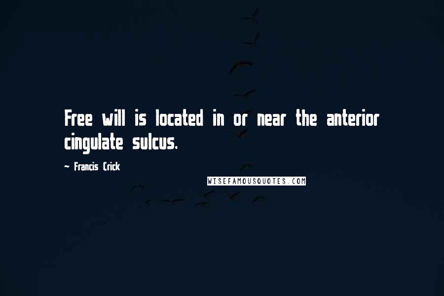 Francis Crick quotes: Free will is located in or near the anterior cingulate sulcus.