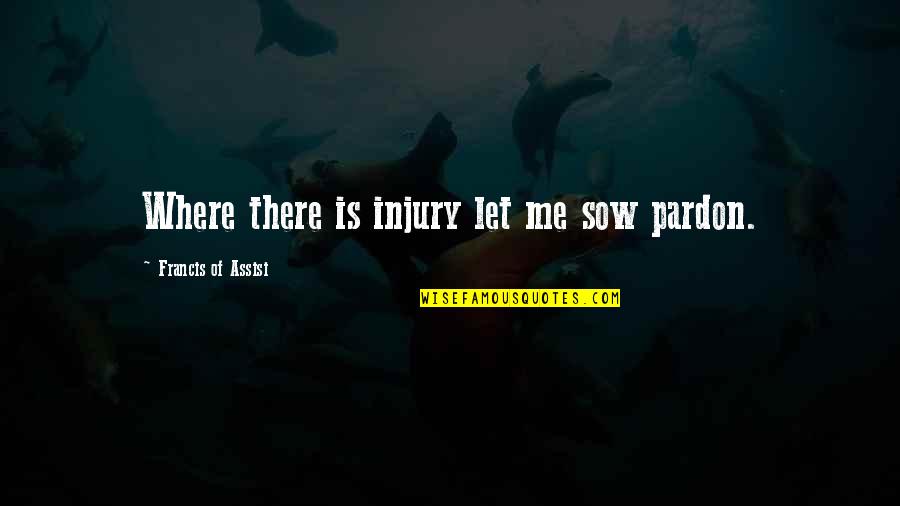 Francis D'assisi Quotes By Francis Of Assisi: Where there is injury let me sow pardon.