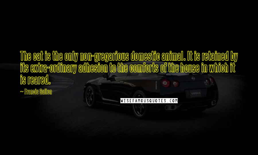 Francis Galton quotes: The cat is the only non-gregarious domestic animal. It is retained by its extra-ordinary adhesion to the comforts of the house in which it is reared.