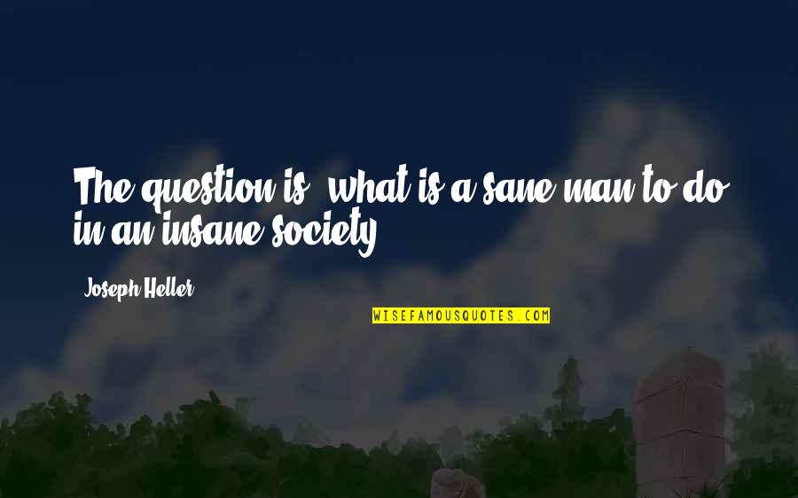 Francis Jourdain Quotes By Joseph Heller: The question is: what is a sane man