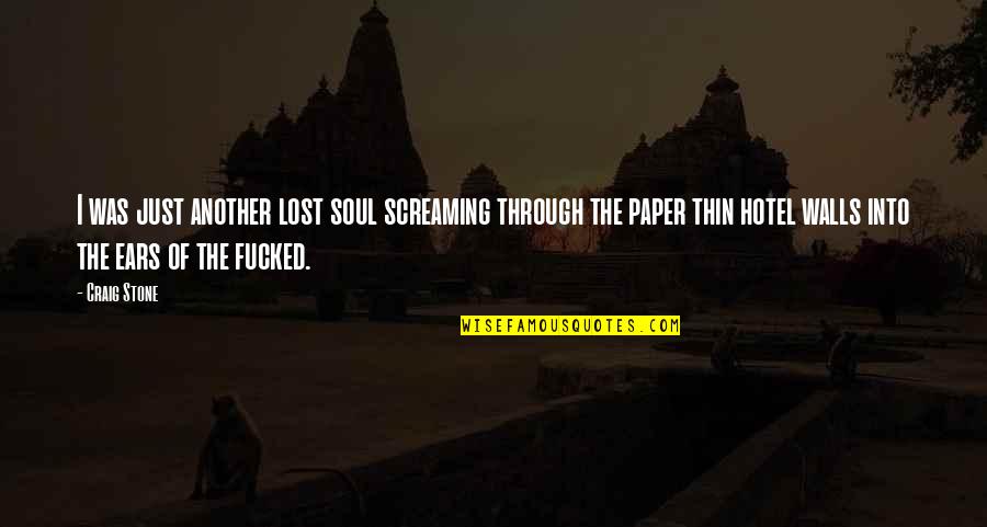 Francisco D'souza Quotes By Craig Stone: I was just another lost soul screaming through