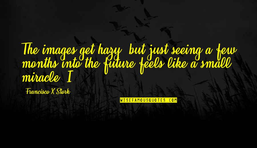 Francisco Stork Quotes By Francisco X Stork: The images get hazy, but just seeing a