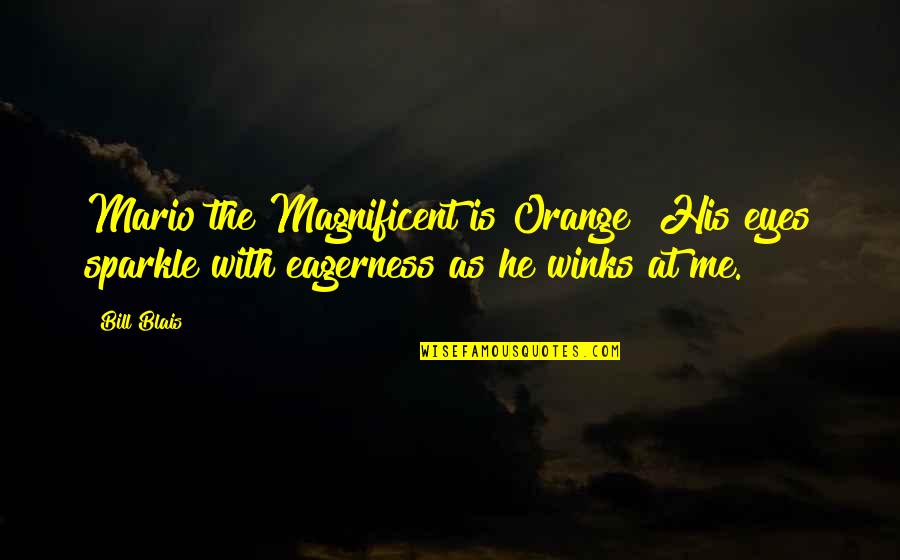 Francisque Millet Quotes By Bill Blais: Mario the Magnificent is Orange! His eyes sparkle