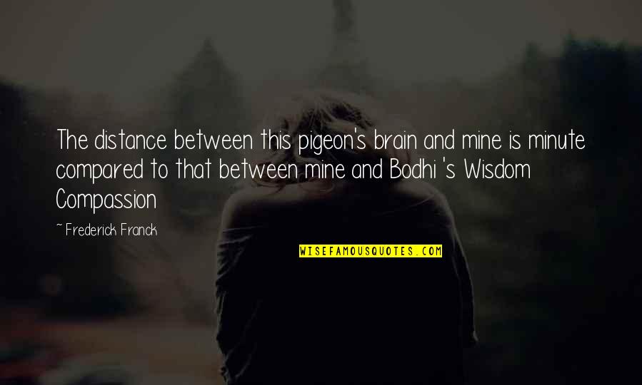 Franck Quotes By Frederick Franck: The distance between this pigeon's brain and mine Franck Quotes By Frederick Franck: The distance between this pigeon's brain and mine