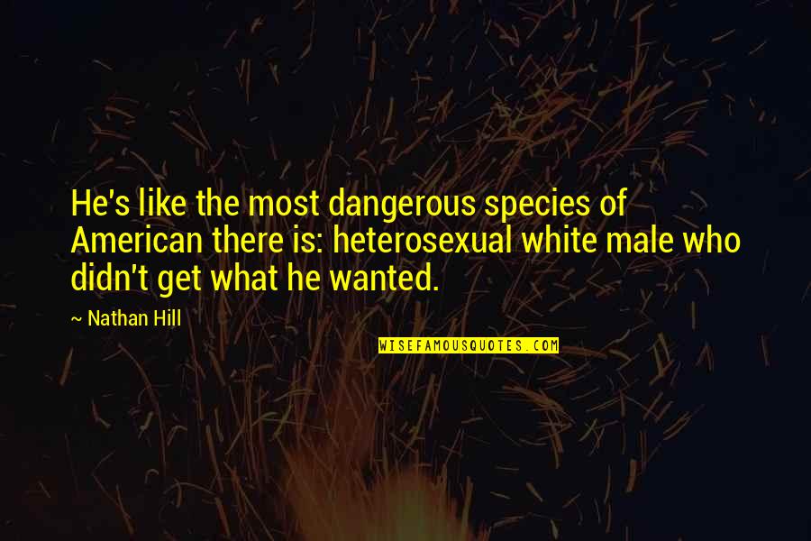 Franek Night Quotes By Nathan Hill: He's like the most dangerous species of American Franek Night Quotes By Nathan Hill: He's like the most dangerous species of American
