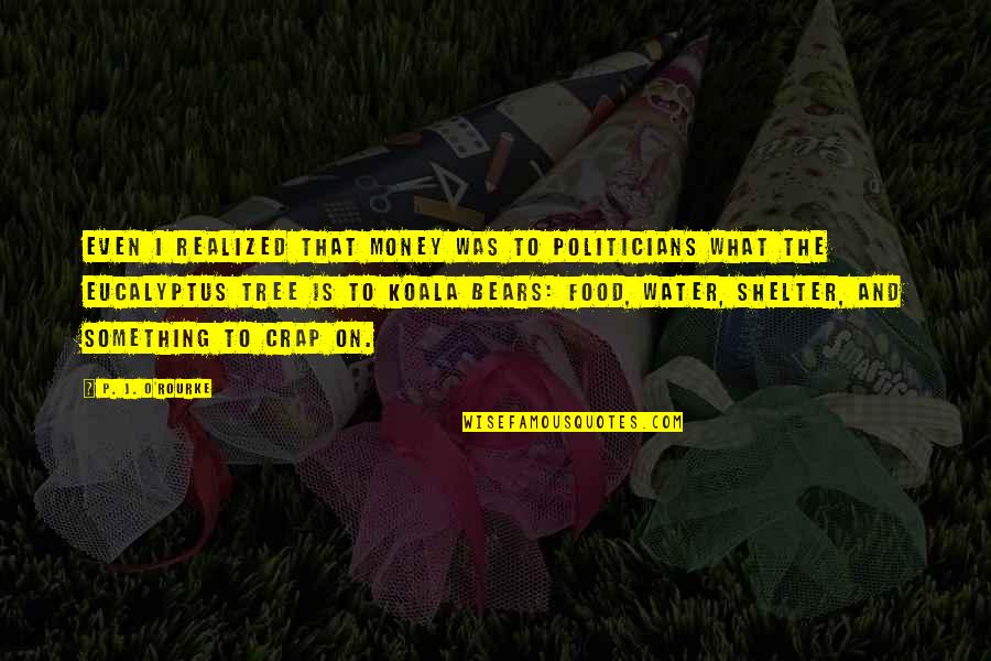 Franelito Quotes By P. J. O'Rourke: Even I realized that money was to politicians Franelito Quotes By P. J. O'Rourke: Even I realized that money was to politicians