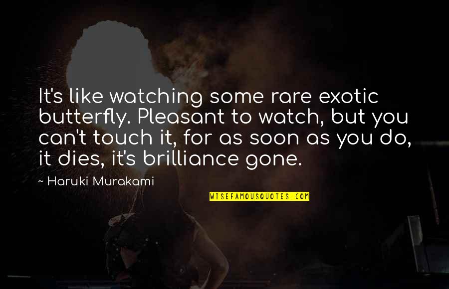 Franja De Gaza Quotes By Haruki Murakami: It's like watching some rare exotic butterfly. Pleasant Franja De Gaza Quotes By Haruki Murakami: It's like watching some rare exotic butterfly. Pleasant