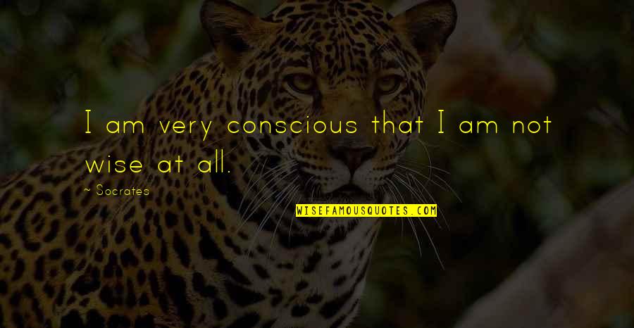 Frank B Robinson Quotes By Socrates: I am very conscious that I am not