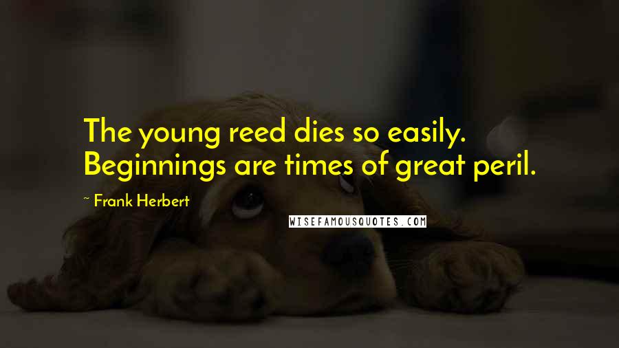 Frank Herbert quotes: The young reed dies so easily. Beginnings are times of great peril.