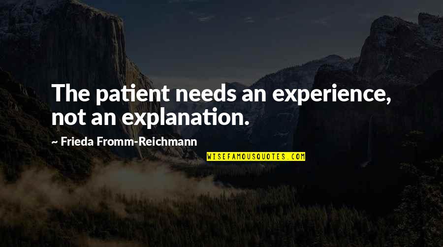 Frank Horvat Quotes By Frieda Fromm-Reichmann: The patient needs an experience, not an explanation.