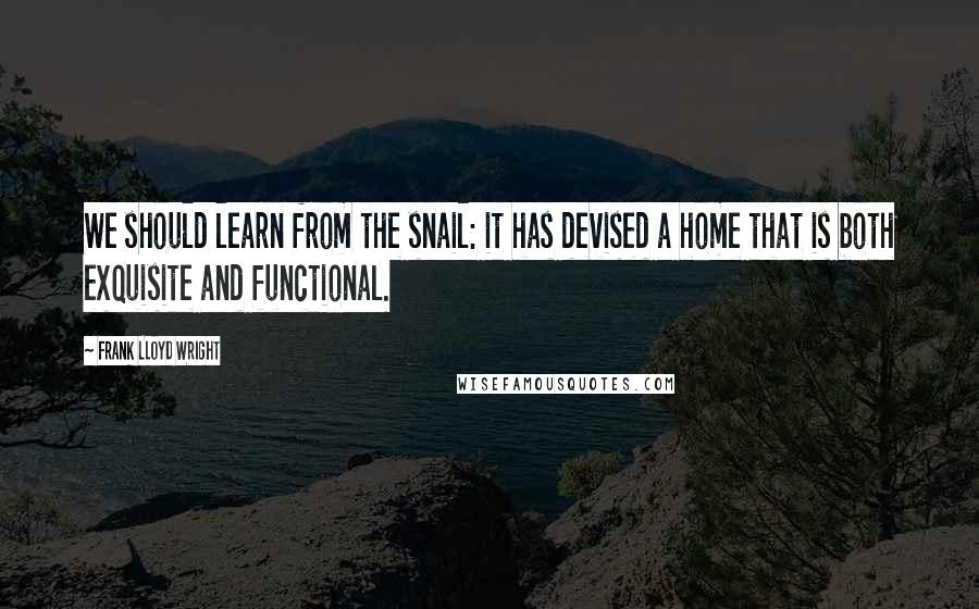 Frank Lloyd Wright quotes: We should learn from the snail: it has devised a home that is both exquisite and functional.