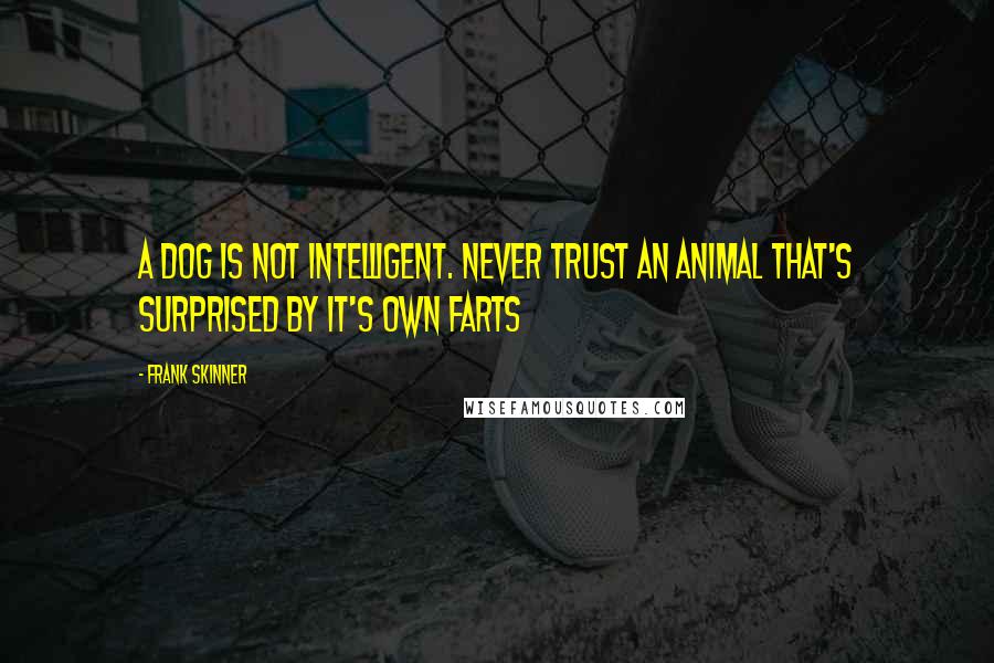 Frank Skinner quotes: A dog is not intelligent. Never trust an animal that's surprised by it's own farts