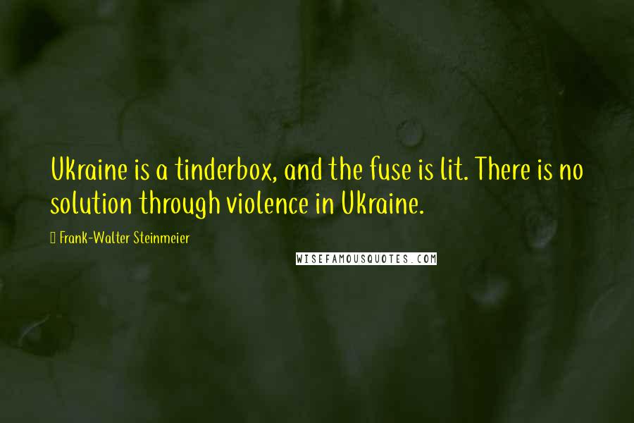 Frank-Walter Steinmeier quotes: Ukraine is a tinderbox, and the fuse is lit. There is no solution through violence in Ukraine.